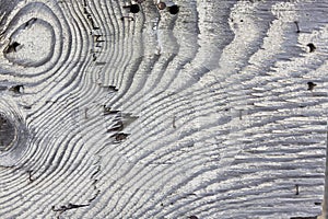 Wood grain texture and pattern