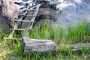 Wood on the grass background as the stones.