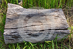 Wood on the grass at Chaiyaphum.