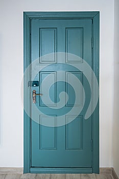 Wood green door