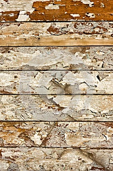 Wood grunge texture