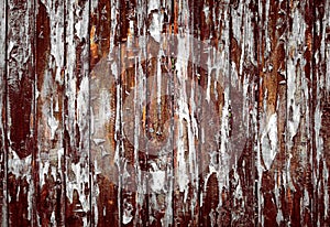 Wood grunge vintage background