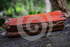 Wood has tiger stripe or curly stripe grain