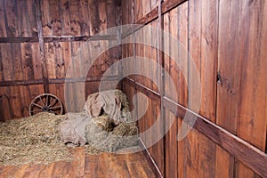 Wood and hay background