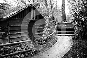 Wood House in a Forest - Ilford FP4 Plus B&W Film photo