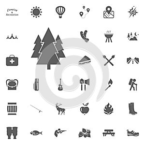 Wood icon. Cristmas tree icon. Camping and outdoor recreation icons set