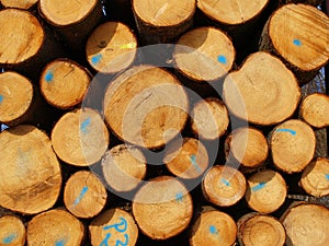Wood industry