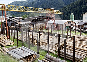 Wood Industry