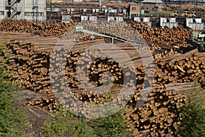 Wood industry