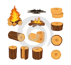 Wood industry products, tree trunks, bark, branches, planks, chest, shavings, firewood boards, fire burning wooden logs, wood