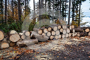 Wood industry, Stacked logs, Black Forest, Germany, Europe. Deforested woodland. Schwartzwald.