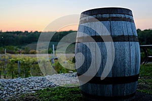 Wood Iron Wine Cask in Vineyard