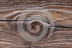 Wood Knot and Grain