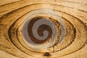 Wood Knot