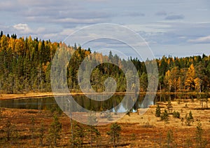 Wood lake. autumn landscape. nature. Karelia photo