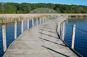 Wood Lake Boardwalk and Marshes