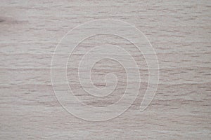 Wood texture background. Material, decorative. photo