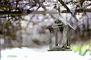 wood lantern close-up in a wisteria landscape photo