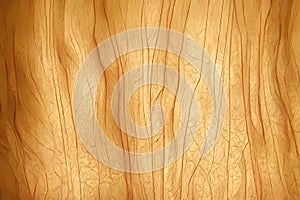 Wood larch texture of cut tree trunk, close-up. Wooden pattern