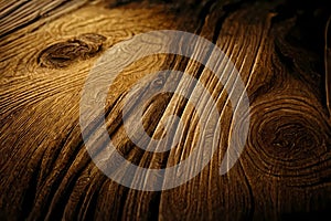 Wood larch texture of cut tree trunk, close-up. Wooden pattern