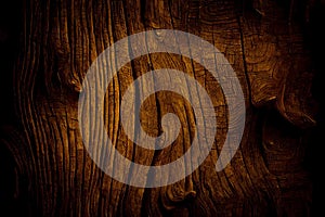 Wood larch texture of cut tree trunk, close-up. Wooden pattern