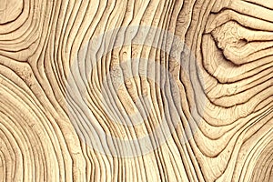 Wood larch texture of cut tree trunk, close-up. Wooden pattern