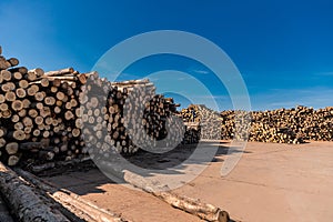 Woodworking factory. Tree wooden logs. Wood storage for industry. Felled tree trunks. Panorama of firewood cut tree