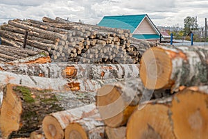 Felled tree trunks. Firewood cut tree trunk logs stacked prepared. Deforestation for Industrial production. Freshly cut