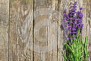 Wood Lavender Flowers Background