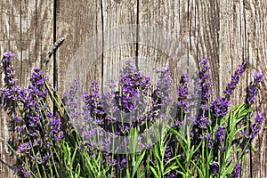 Wood Lavender Flowers Background