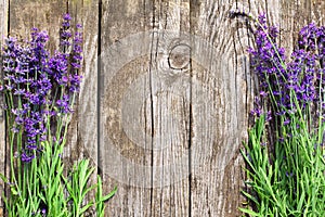 Holz Lavendel Blumen 