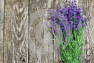 Wood Lavender Flowers Background