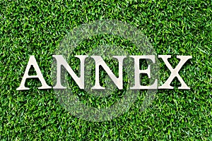 Wood letter in word annex on green grass background