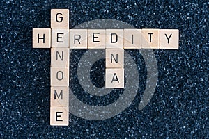 Wood letters forming genome dna and heredity words