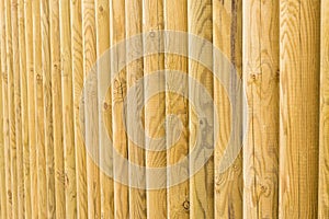 Wood log background textured