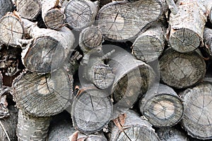 Wood log background with weathered look