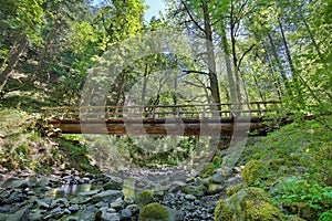 Wood Log Bridge Structure Over Gorton Creek in Oregon