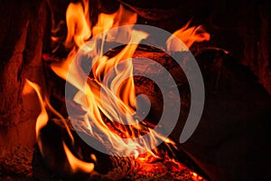 Wood log burning in the chimenea. Fire wood, coal and amber ash closeup photo