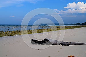 A Wood Log at Rocky Beach, Pristine Sea Water and Clear Sky - Natural Background - Laxmanpur, Neil Island, Andaman, India