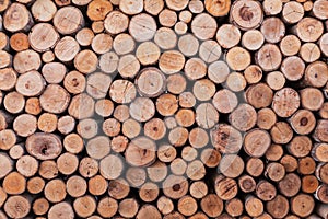 Wood log texture background