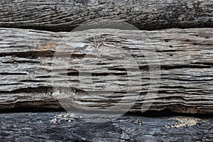 Wood Log Texture Background with Shade.