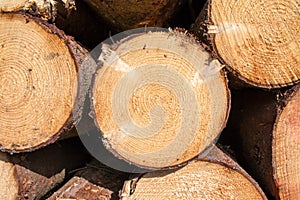 Wood logs background