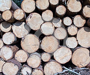 Wood logs background