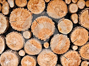 Wood logs background