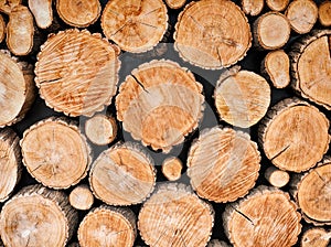 Wood logs background photo