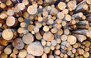 Wood logs background