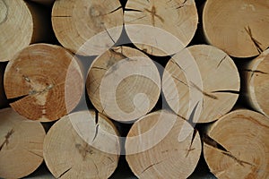 Wood logs background