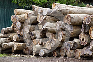 Wood Logs at Chatham Saw Mill Haddo, Port Blair, Andaman