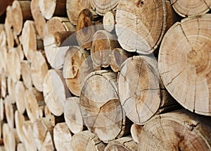 Wood logs for industry