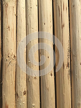 Wood logs pile for interesting background ideas. for interesting and creative backgrounds.